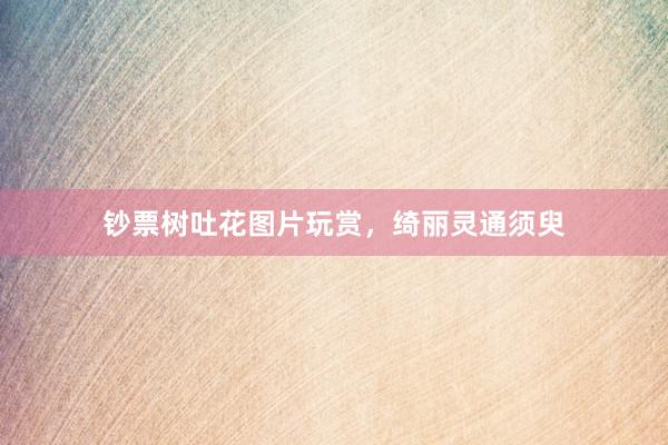 钞票树吐花图片玩赏，绮丽灵通须臾