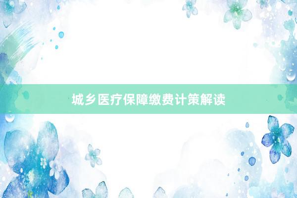 城乡医疗保障缴费计策解读