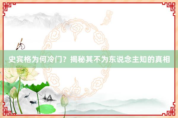 史宾格为何冷门？揭秘其不为东说念主知的真相