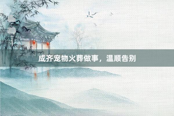 成齐宠物火葬做事，温顺告别